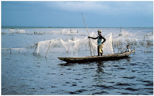 Pêcheur sur le lac Nokoué, Bénin Pêcheur sur le lac Nokoué